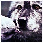 Anna_Kevin