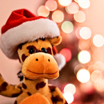 ChrisDragon