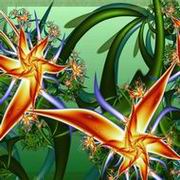DanielDragonDark