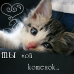Fox_Nina