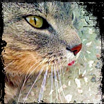 Lucy.Alex
