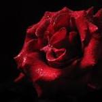Jason_George